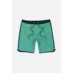 NEW JETTY men's session boardies short in mint
